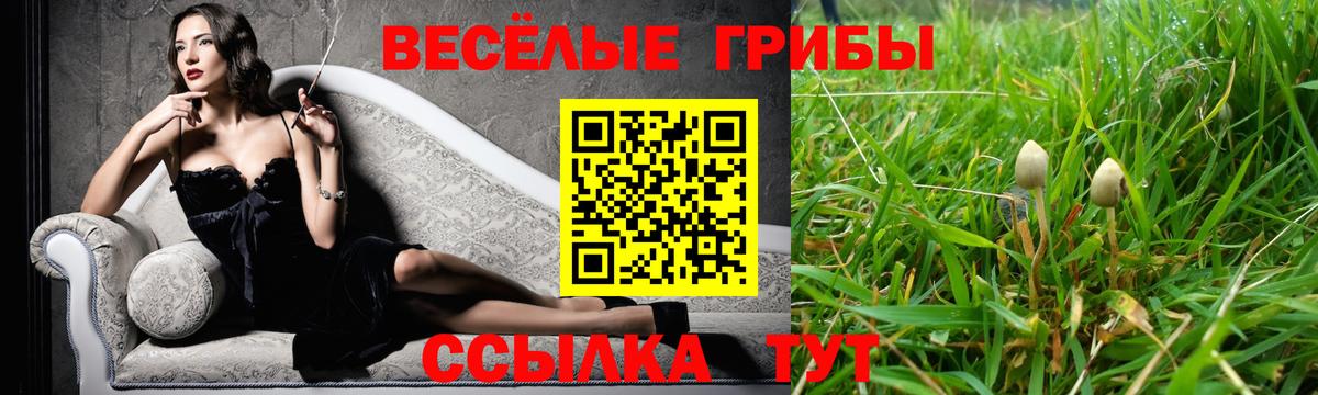 Псилоцибиновые грибы Psilocybine cubensis Ахтубинск