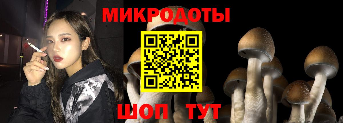 Ахтубинск  Галлюциногенные грибы Cubensis  Вход с VPN 
